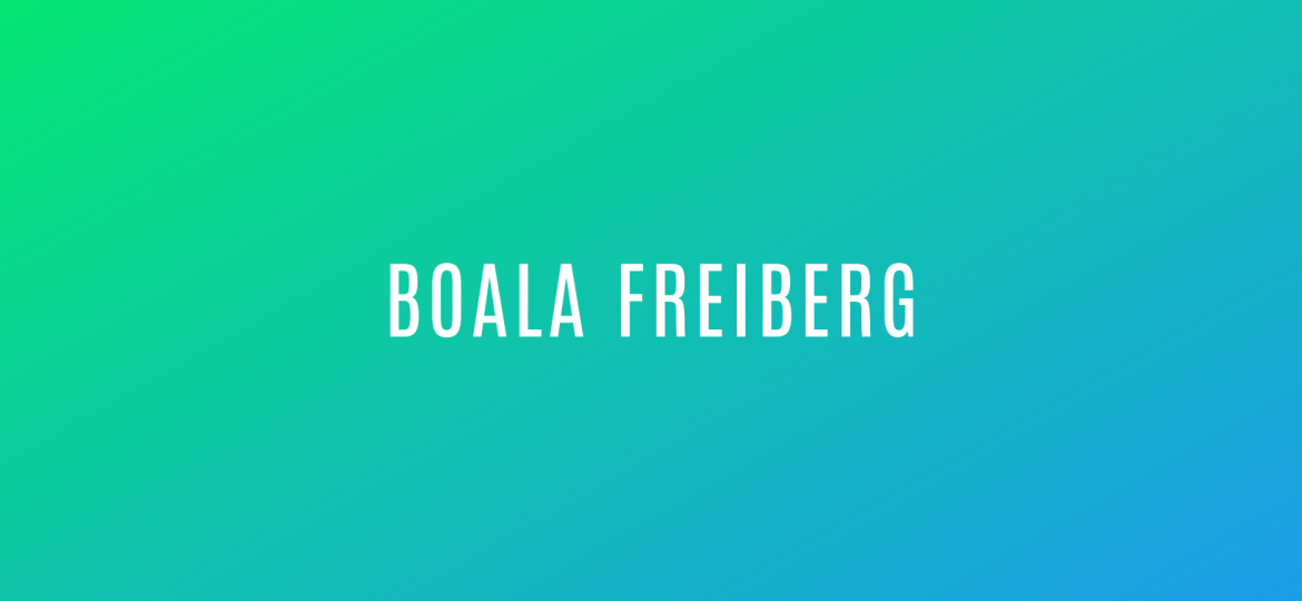 boala-freiberg